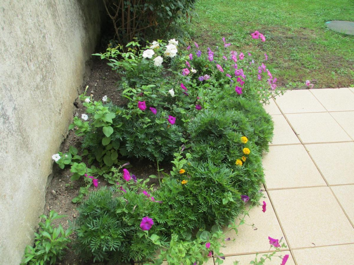 Chambre D'Hotes B&B Moncel-sur-Seille Bagian luar foto
